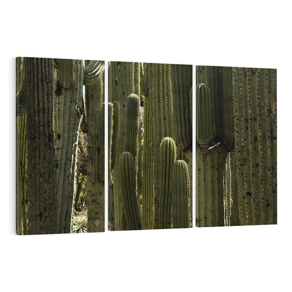 Obraz na płótnie 120x80 - Wyjątkowy Klimat Boho - kaktusy, pustynia