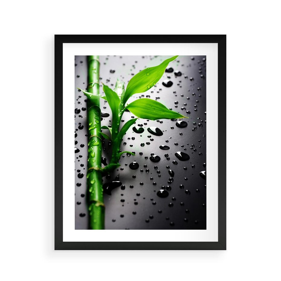 Plakat w ramie 40x50 - Bambusowa Harmonia - bambus, liście - rama czarna