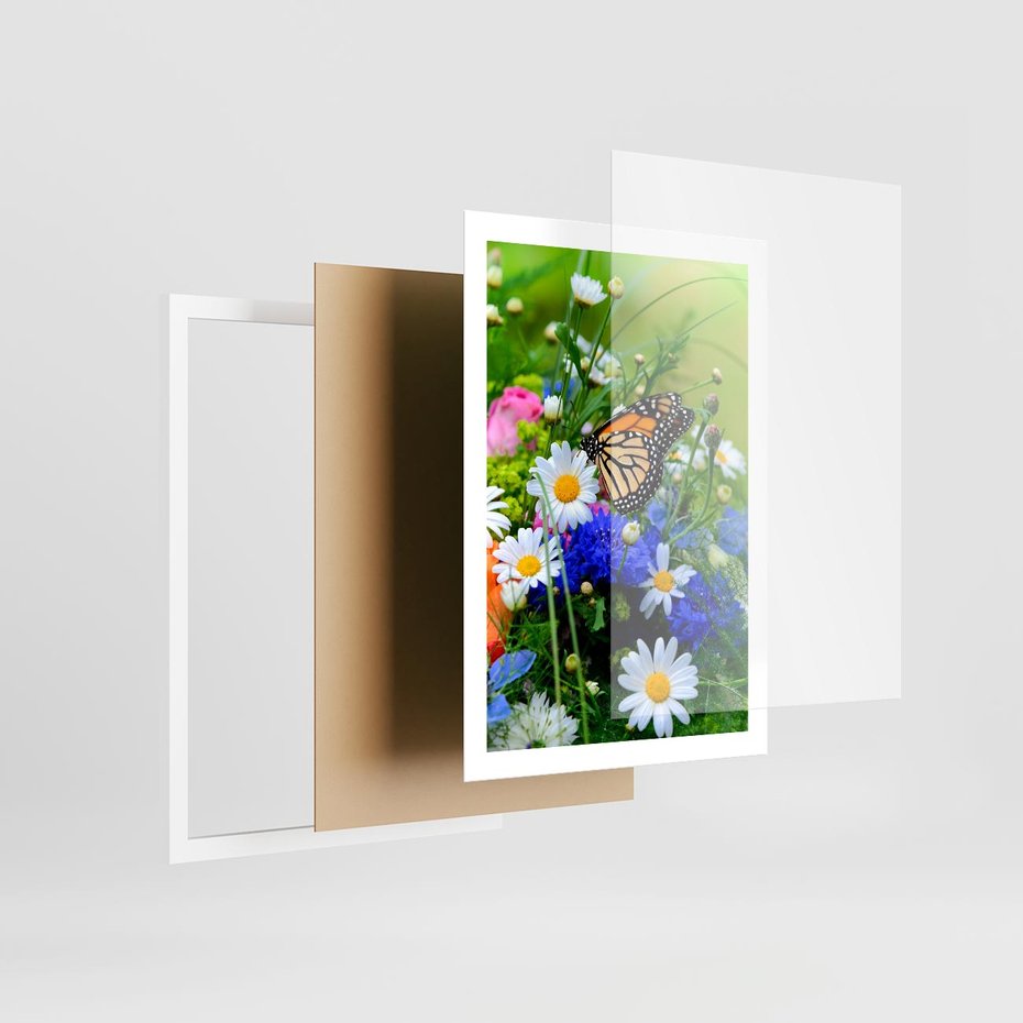 Plakat w ramie 50x70 - Kwiatowy Taniec - motyl, kwiaty - rama biała