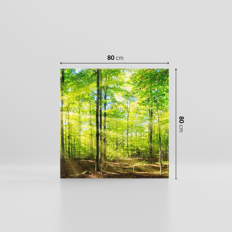 Obraz na płótnie 80x80 - Drzewa w harmonii - las, drzewa
