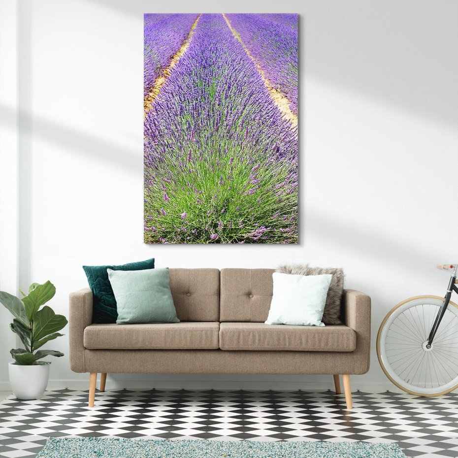 Obraz na płótnie 50x70 - Lawendowy kwiat - lawenda, kwiat