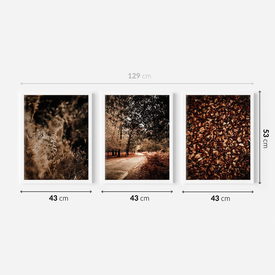 Zestaw obrazy w ramie 40x50 galeria - Jesienne, liście, nostalgia - rama biała