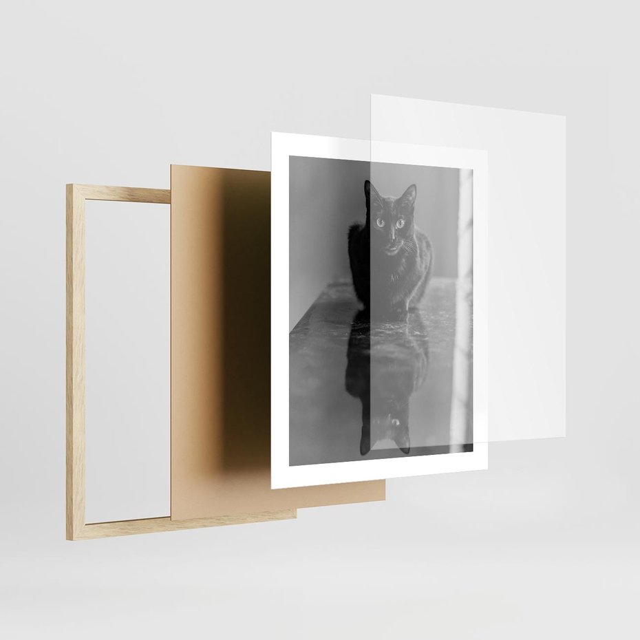 Plakat w ramie 40x50 - Kocie Oczy - kot, czarno białe zdjęcie - rama drewno