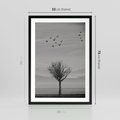Plakat w ramie 50x70 - Samotne Drzewo - samotne drzewo w polu, czarno białe zdjęcie - rama czarna