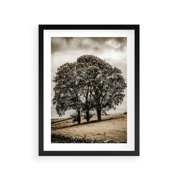 Plakat w ramie 30x40 - Spokojna Osamotniona Chwila - beżowe kolory, samotne drzewo na polu - rama czarna