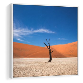 Obraz w ramie 80x80 - Słońce i Suche Drzewo - pustynia, suche - rama biała