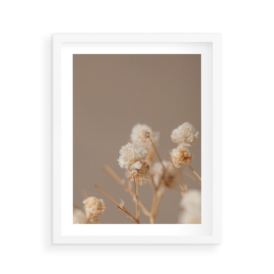 Plakat w ramie 40x50 - Przezroczyste piękno - gipsówka, suche - rama biała