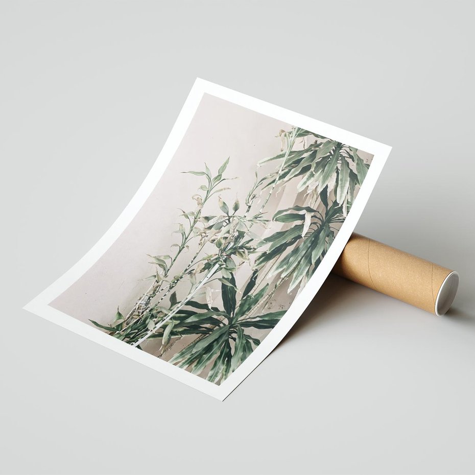 Plakat bez ramy 21x30 - Egzotyczna Kompozycja - liście, rośliny tropikalne na tle ściany