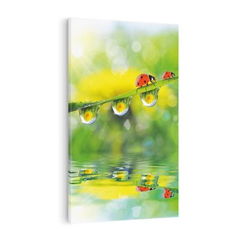 Obraz na płótnie 80x120 - Deszczowa Biedronka - biedronka, deszcz
