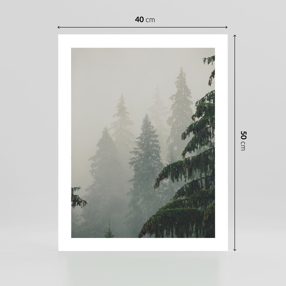 Plakat bez ramy 40x50 - Mglista przemiana lasu - las, mgła