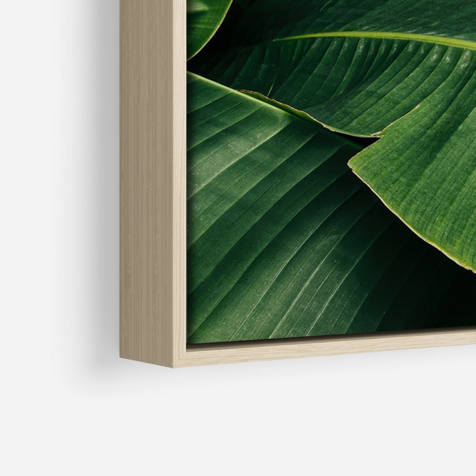 Obraz w ramie 70x100 - Zaklęta roślinna ekspresja - liście bananowca, gęsto ułożone - rama drewno
