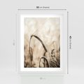 Plakat w ramie 30x40 - Źdźbło Pszenicy: Blisko Natury - źdźbło pszenicy, pszenica - rama biała