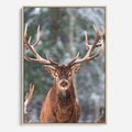 Obraz w ramie 80x120 - Monarcha Zimowej Dziczy - jeleń, zima - rama drewno