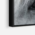 Obraz w ramie 70x50 - Oko Mocy - czarno białe zdjęcie, zbliżenie makro na oko konia - rama czarna