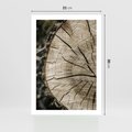 Plakat bez ramy 21x30 - Wnętrze Natury - pień, przecięty pień