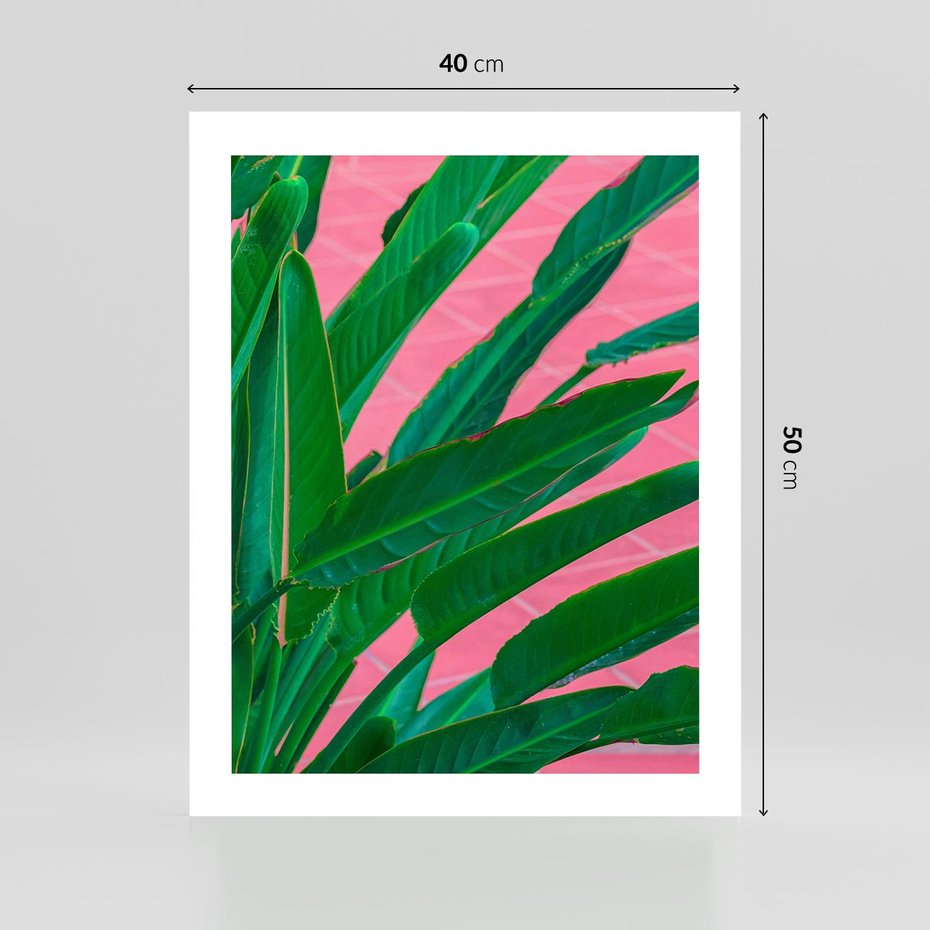 Plakat bez ramy 40x50 - Odezwij się do przeszłości - liście, retro