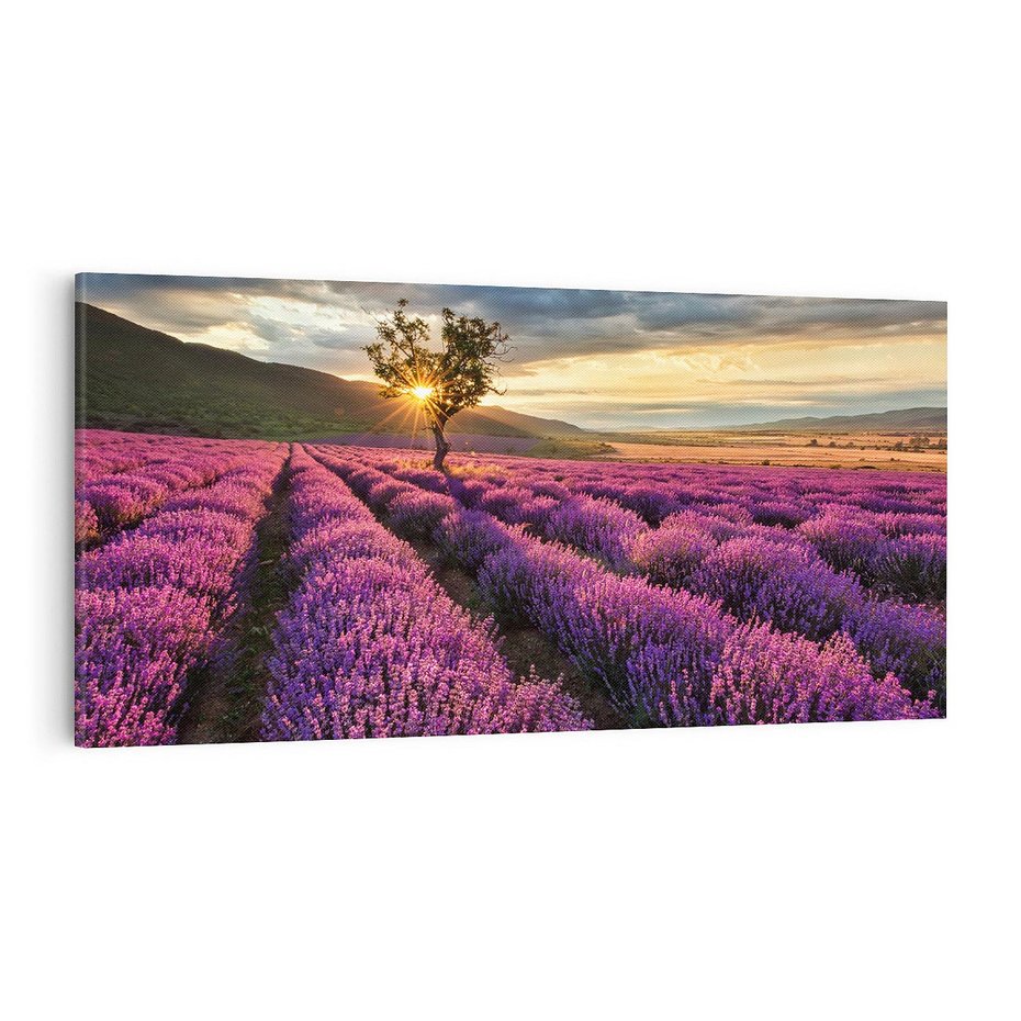 Obraz na płótnie 100x50 - Lawenda: Pachnący ogród natury - lawenda, kwiaty