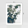 Plakat bez ramy 30x40 - ukaliptusowa Harmonia - liście eukaliptusa
