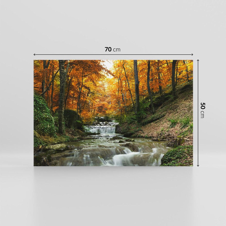 Obraz na płótnie 70x50 - Urok lasu: drzewa i strumyk w harmonii - las, drzewa