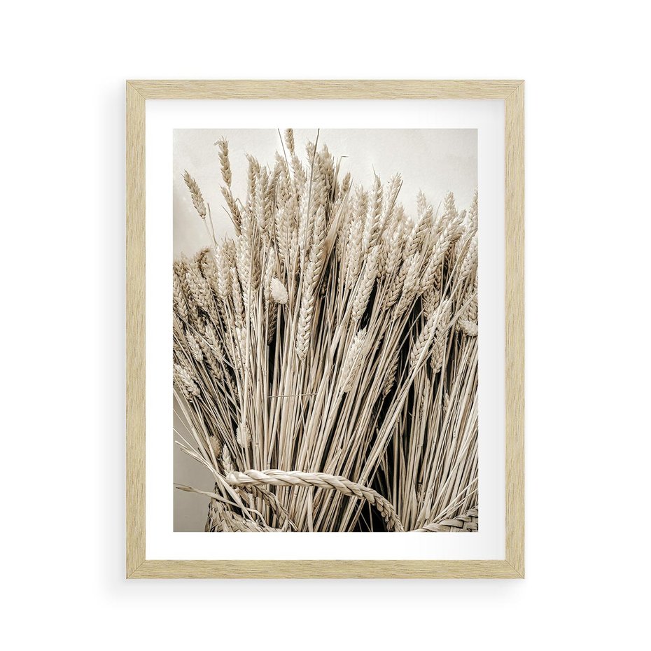 Plakat w ramie 40x50 - Letni Plon - zboże, kłosy zboża - rama drewno