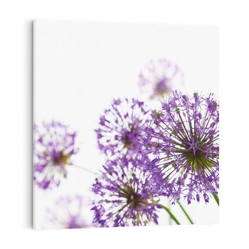 Obraz na płótnie 70x70 - Kwiatowe pejzaże: natura w rozkwicie - kwiaty, natura