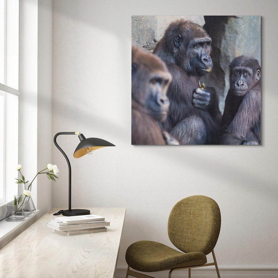 Obraz na płótnie 80x80 - Małpy w ich naturalnym środowisku - małpy, szympansy