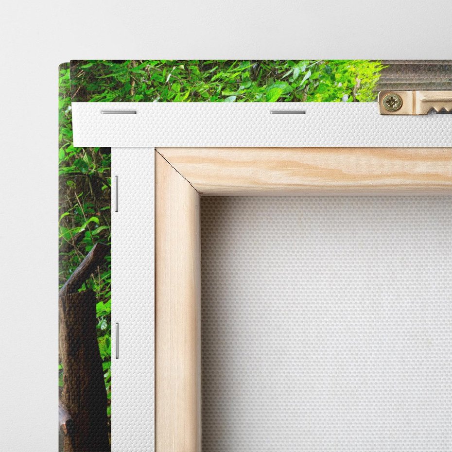 Obraz na płótnie 70x70 - Lasowa ścieżka pełna tajemnic - ścieżka, schody