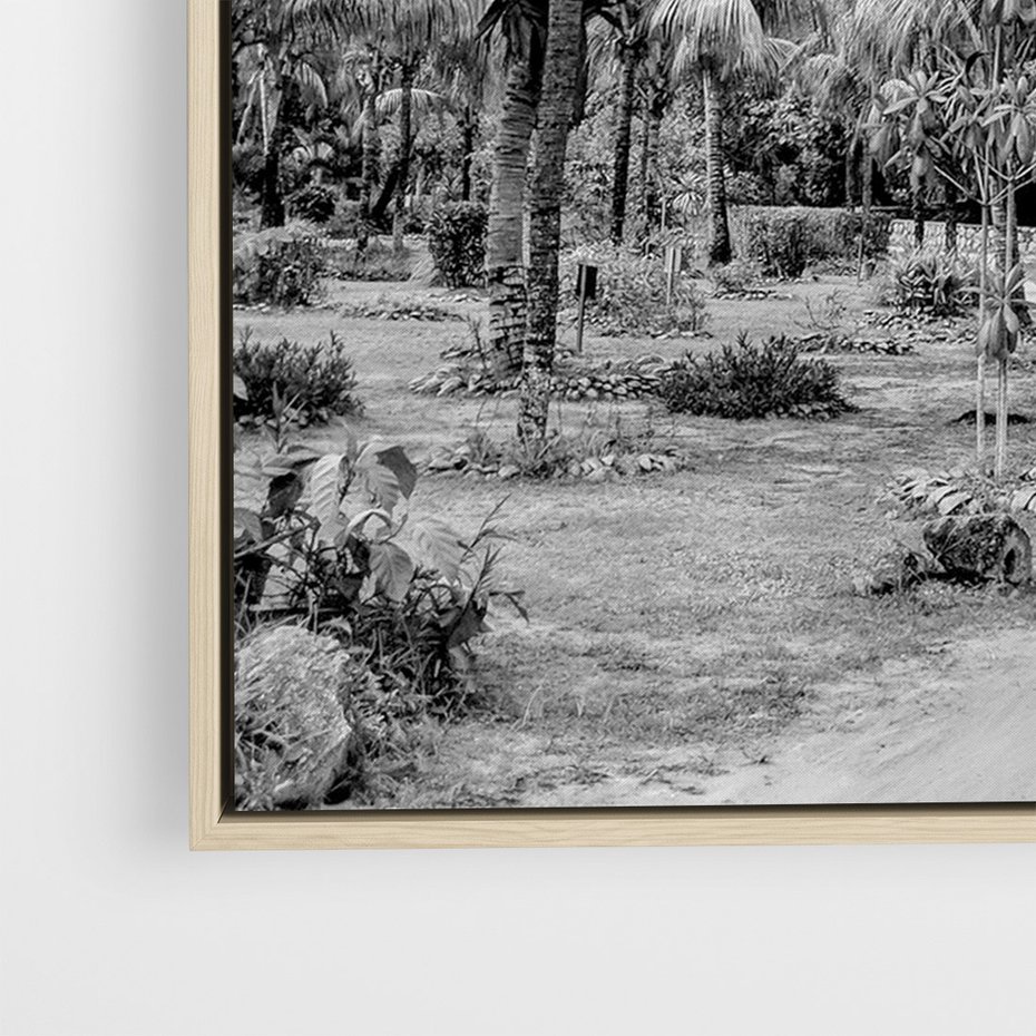 Obraz w ramie 70x100 - Mroczna Ścieżka Tropików - czarno biała fotografia, ścieżka pośród palm - rama drewno