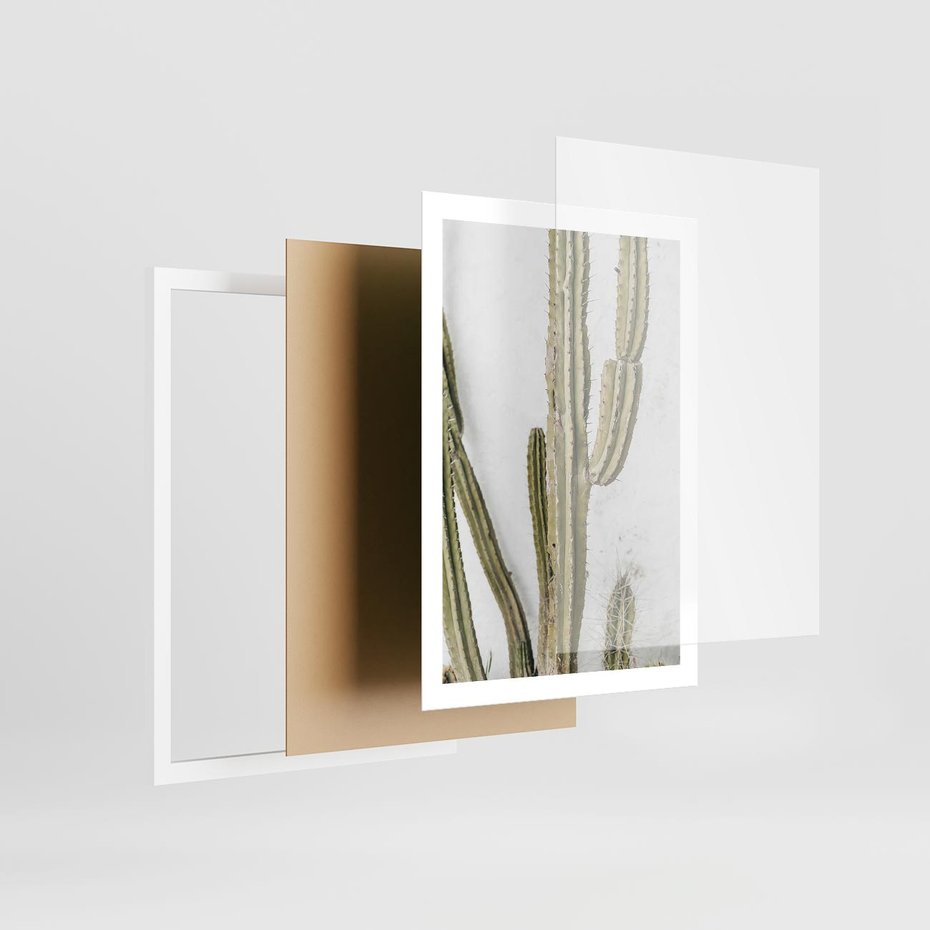 Plakat w ramie 50x70 - Kaktus w Stylu Boho - kaktus, roślina tropikalna - rama biała