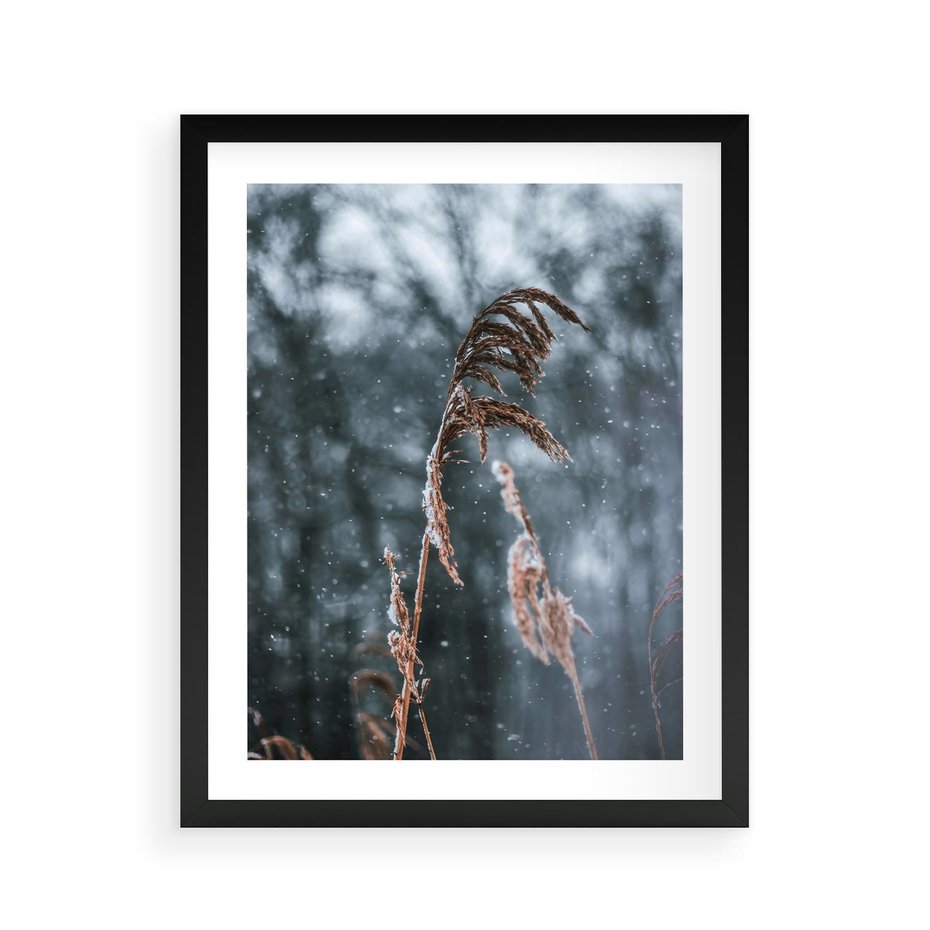 Plakat w ramie 40x50 - Zima na Łonie Natury - sucha wysoka trawa, w zimie - rama czarna