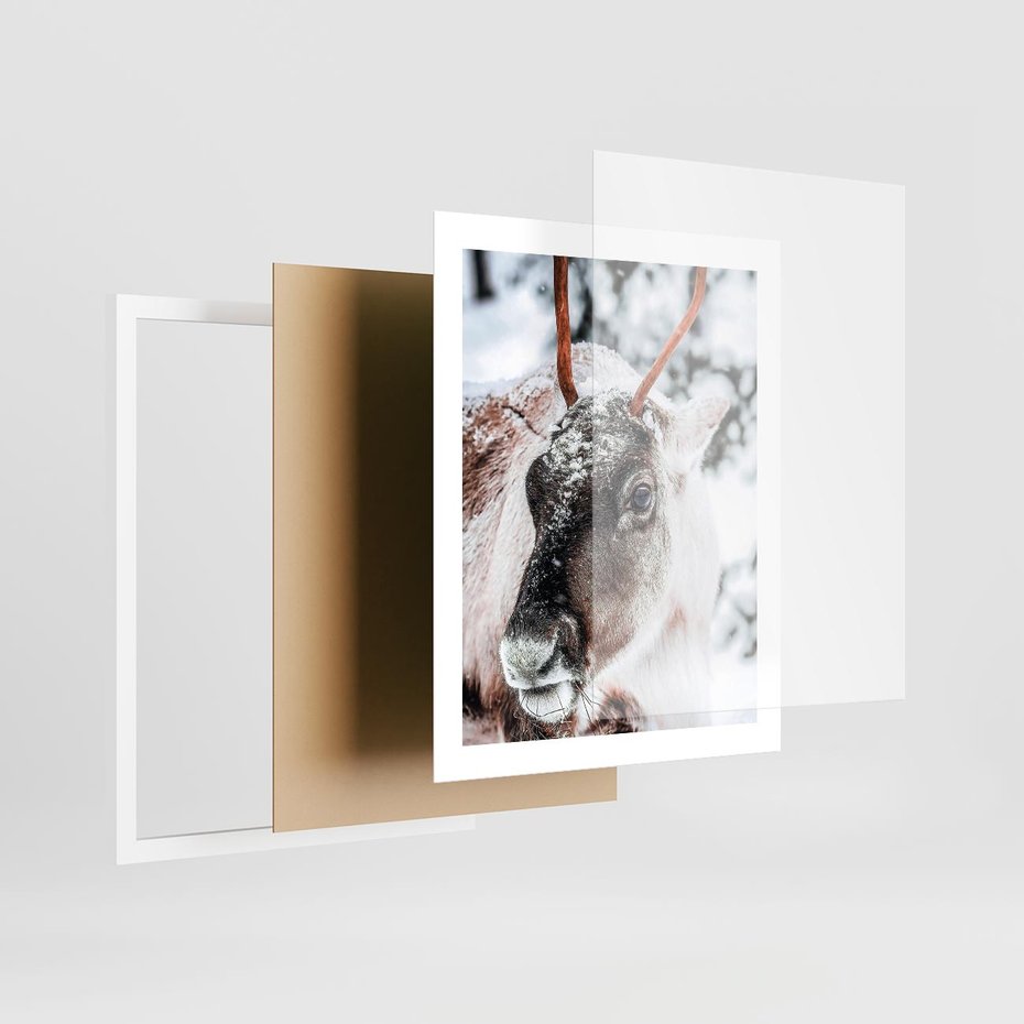Plakat w ramie 40x50 - Renifer w Zimowej Krainie - renifer, zima - rama biała