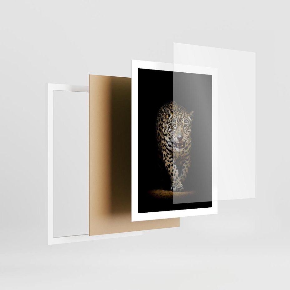 Plakat w ramie 50x70 - Elegancja lamparta - lampart, pantera - rama biała
