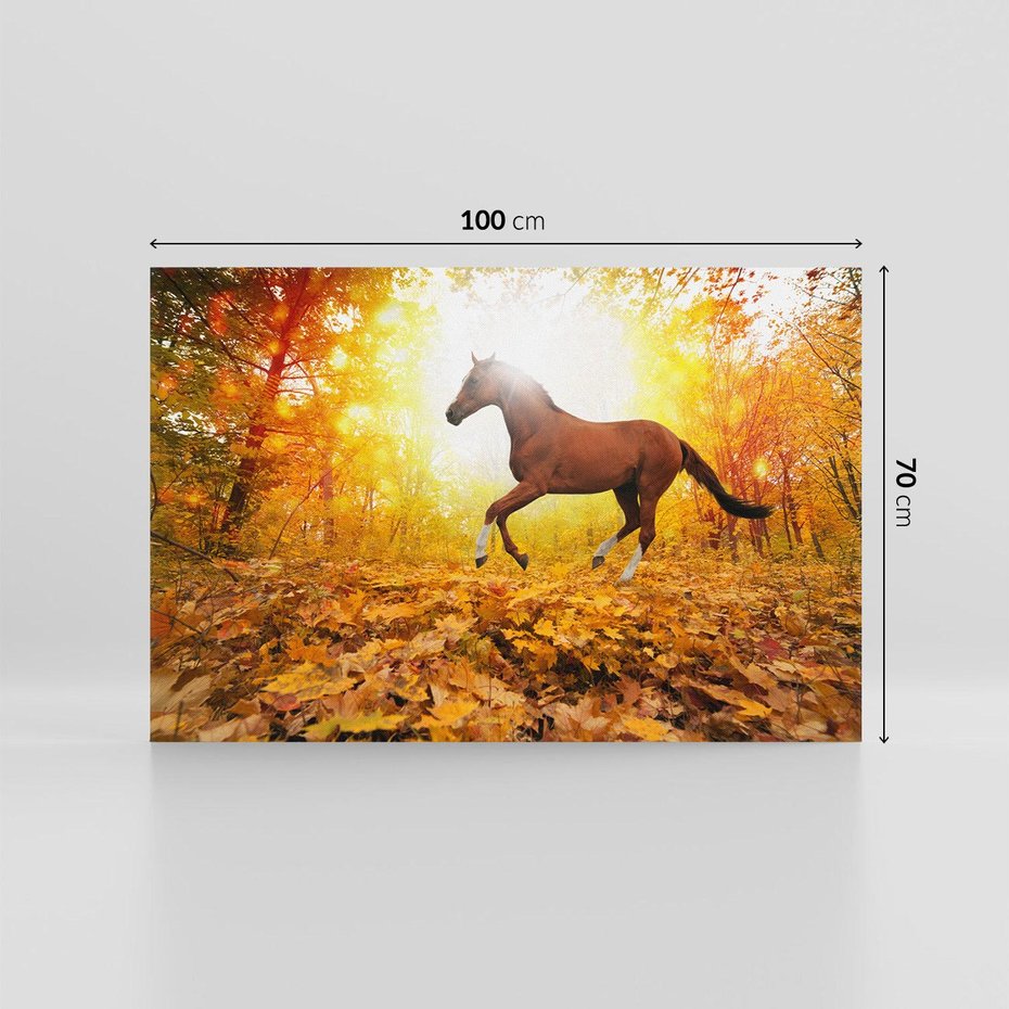 Obraz na płótnie 100x70 - Moc konia w zachodzie słońca - koń, słońce