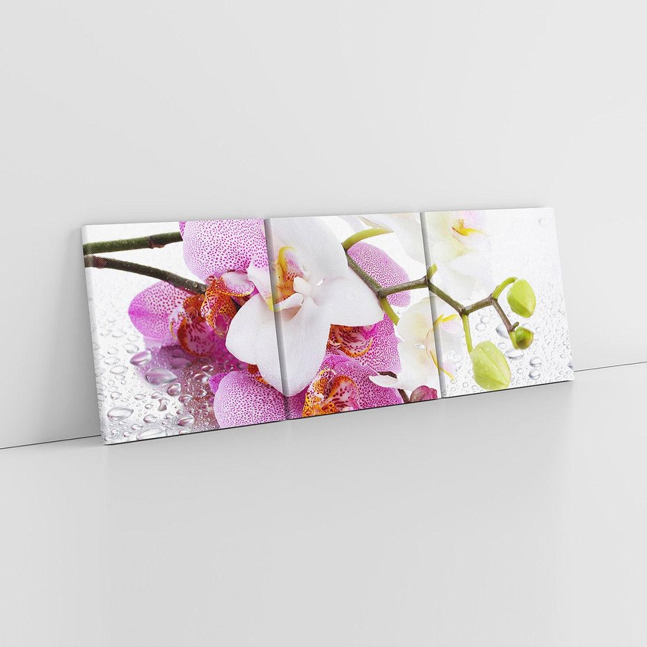 Obraz na płótnie 150x50 - Magia kwiatów - kwiaty