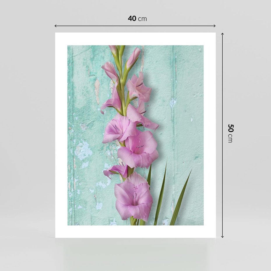 Plakat bez ramy 40x50 - Piękno w delikatności - kwiaty, różowe