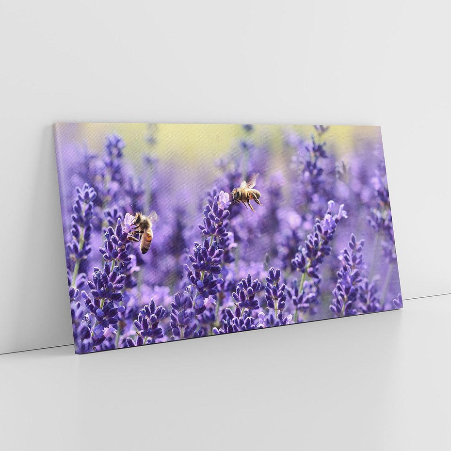 Obraz na płótnie 120x60 - Magia lawendy delikatne kwiaty - lawenda, kwiat