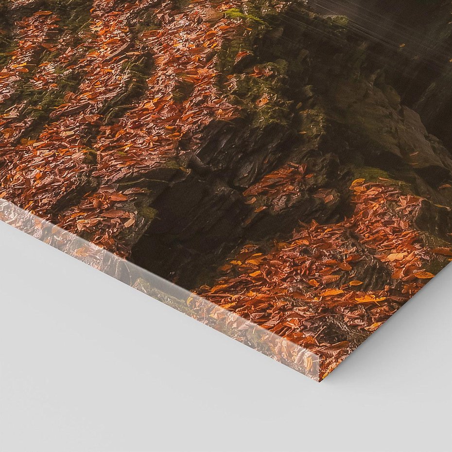 Obraz na płótnie 150x50 - Barwna Harmonia - strumień, las