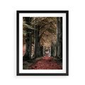 Plakat w ramie 40x50 - Spacer po Leśnej Drodze - ścieżka w lesie, jesień suche liście - rama czarna