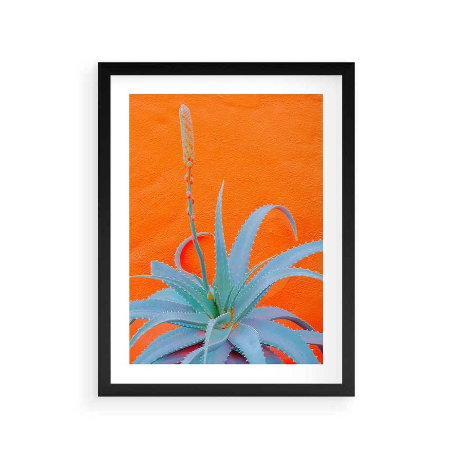 Plakat w ramie 30x40 - Naturalna Harmonia - kaktusy, liście - rama czarna
