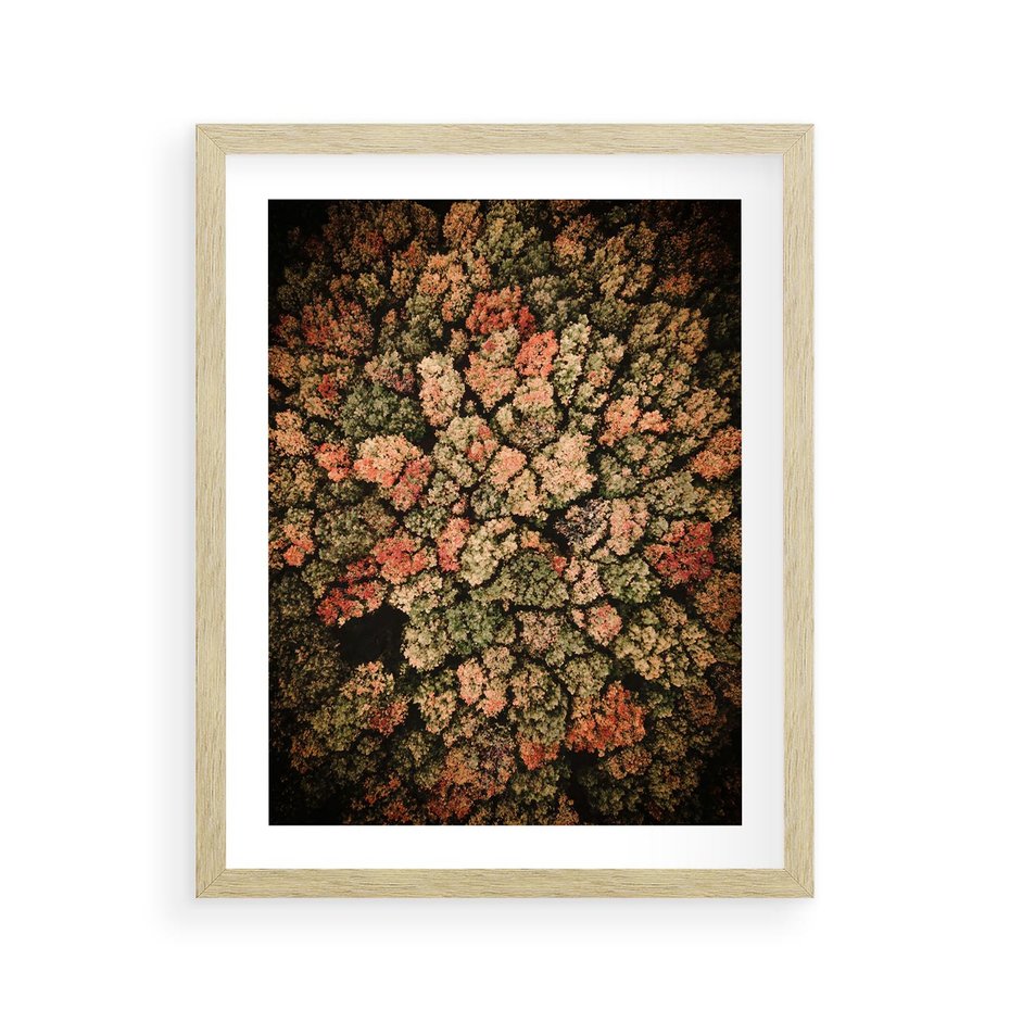 Plakat w ramie 40x50 - Jesień z Lotu Ptaka: Malowniczy Las - las jesienią z lotu ptaka - rama drewno