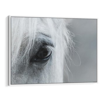 Obraz w ramie 120x80 - Oko Mocy - czarno białe zdjęcie, zbliżenie makro na oko konia - rama biała
