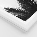 Plakat w ramie 40x50 - Tropikalna Uroda w Czerni i Bieli - fotografia czarno biała, liście palmy - rama biała