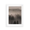 Plakat w ramie 30x40 - Mglista Opowieść Lasu - las, mgła - rama biała