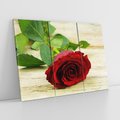 Obraz na płótnie 120x80 - delikatność kwiatu - róża, kwiat