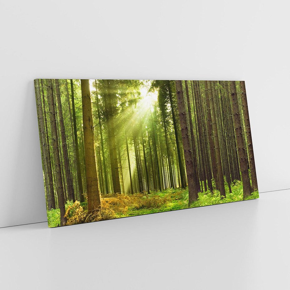 Obraz na płótnie 140x70 - Spokój wśród drzew: las w odcieniach zieleni - las, drzewa