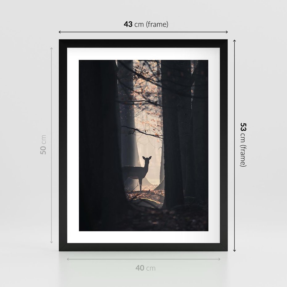 Plakat w ramie 40x50 - Sarnie Skoki - zdjęcie, klimatyczny las - rama czarna