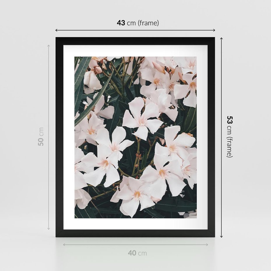 Plakat w ramie 40x50 - Egzotyczna Uroda - białe kwiaty, tropikalne kwiaty - rama czarna