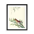 Plakat w ramie 40x50 - Roślinne Nastroje - japońska sztuka, ptak - rama czarna