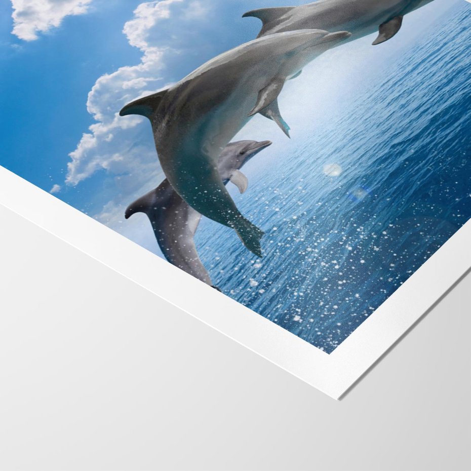 Plakat bez ramy 40x50 - Spotkanie z naturą - morze, delfiny