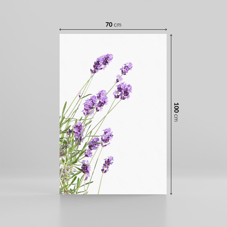 Obraz na płótnie 70x100 - Delikatny Urok - lawenda, kwiaty